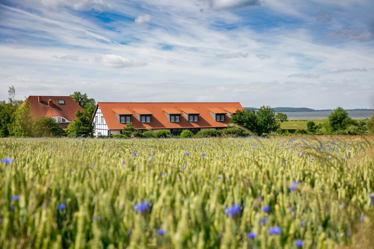 H.W.S. Hotel Der Wilde Schwan Sagard Luaran gambar